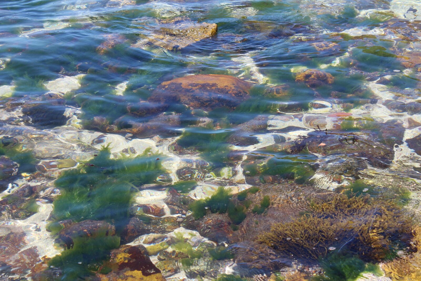 Canon EOS 1200D (EOS Rebel T5 / EOS Kiss X70 / EOS Hi) sample photo. Beach, waves, sea photography
