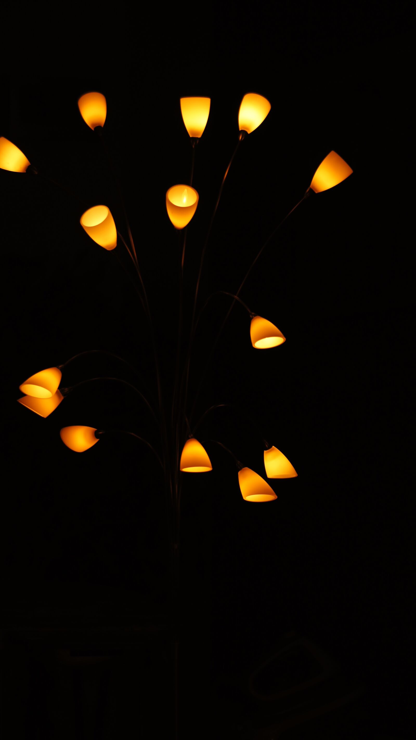 Sony SLT-A55 (SLT-A55V) sample photo. Light, lamp, atmosphere photography