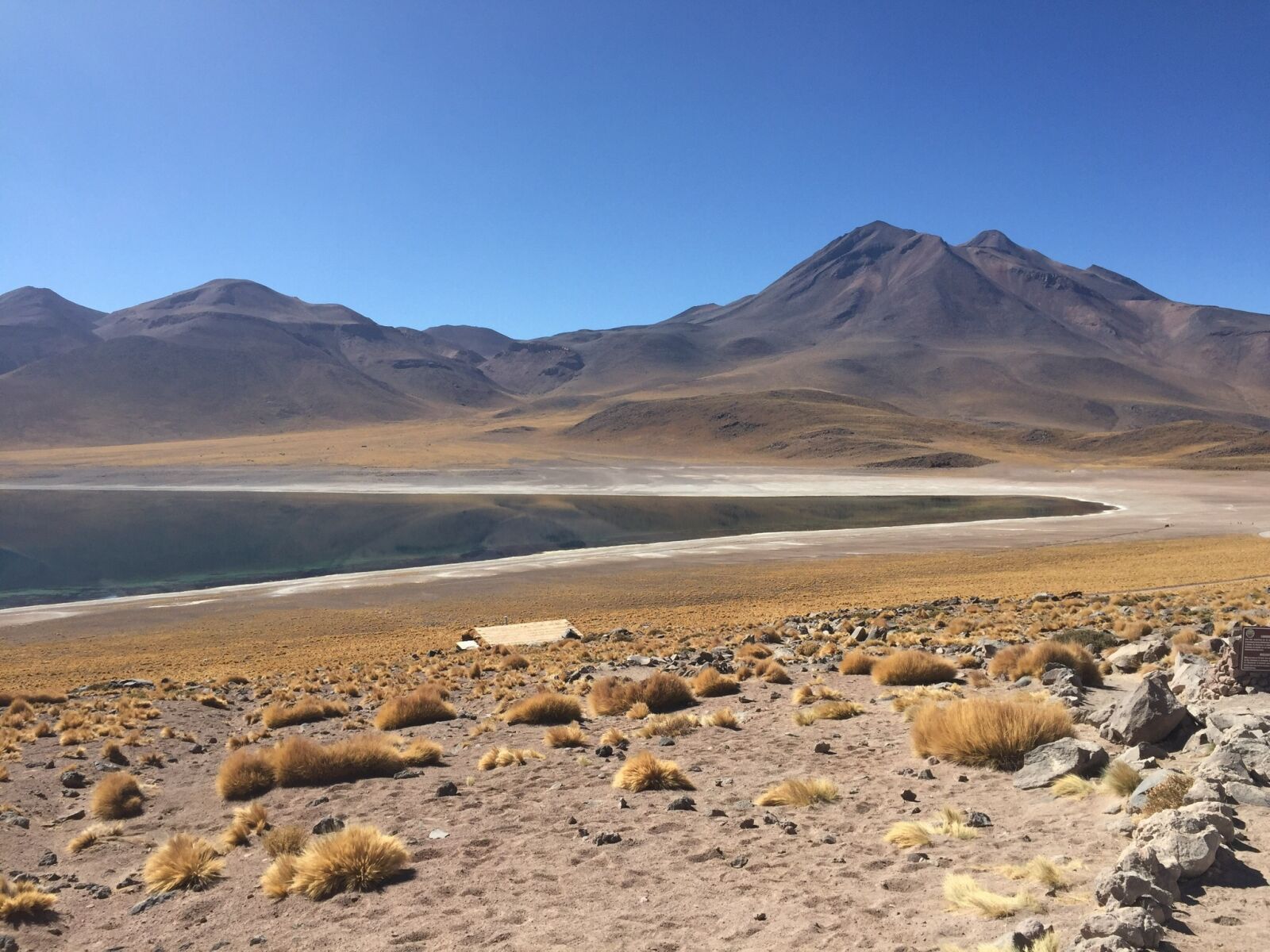 Apple iPhone 6 sample photo. Laguna, altiplanica, chile photography