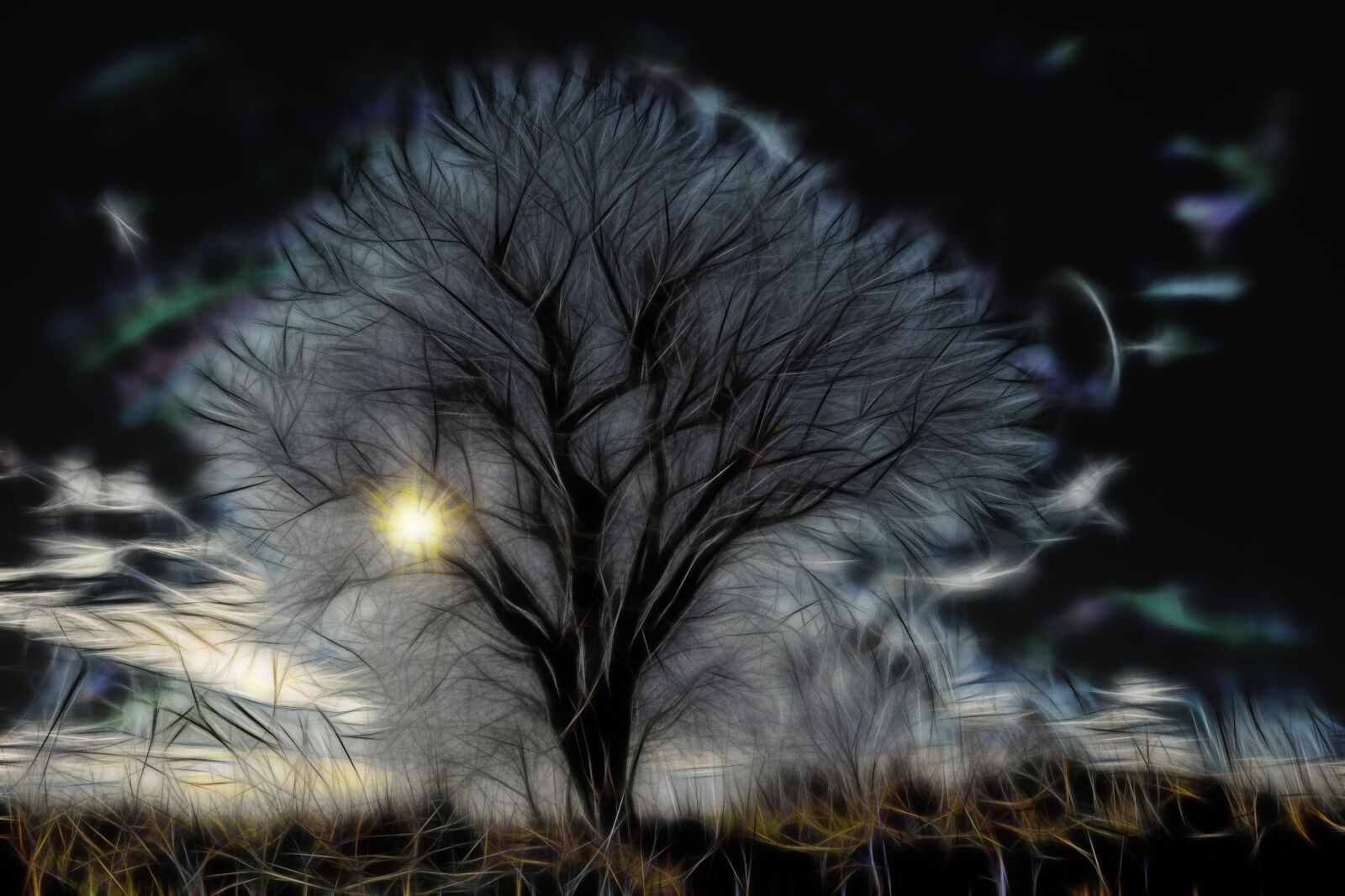 Nikon D7100 sample photo. Abstract, tree, sun photography