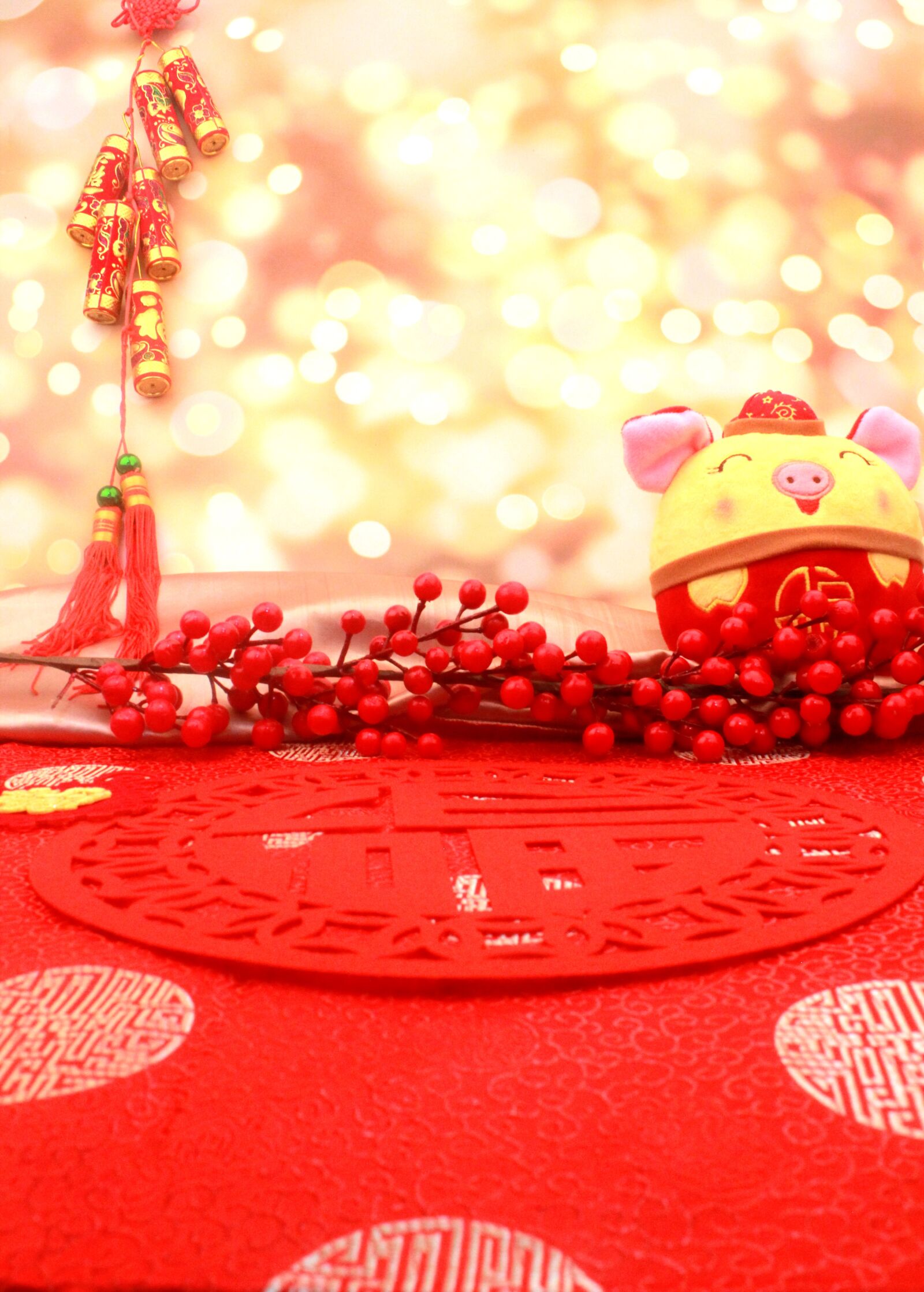Canon EOS 550D (EOS Rebel T2i / EOS Kiss X4) sample photo. Firecracker, chinese new year photography