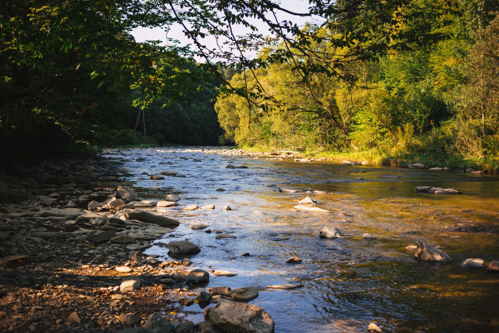 Canon EF 40mm F2.8 STM sample photo. Nature, autumn, bank photography
