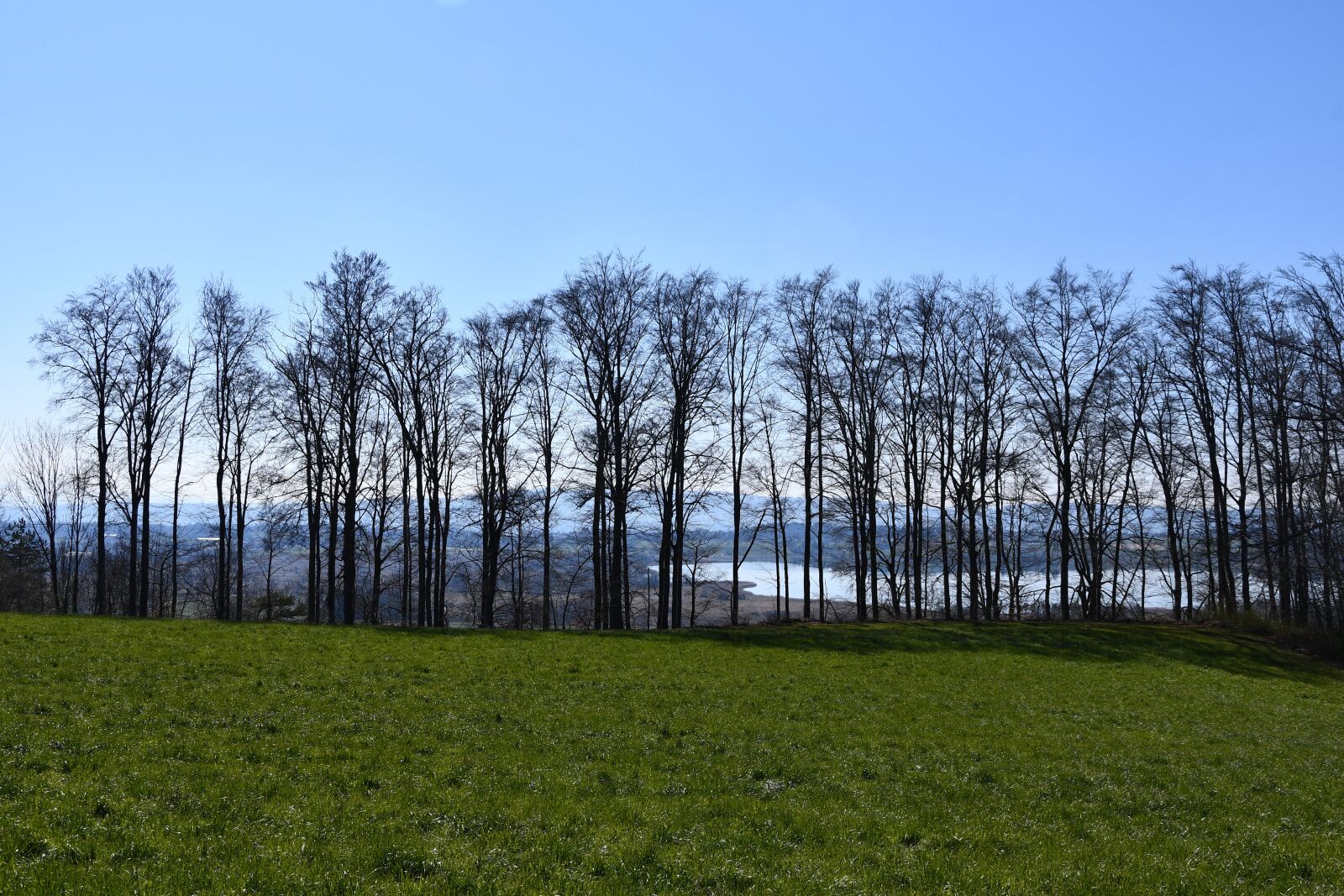 Nikon D7500 sample photo. Spring awaken, woodland, lake photography