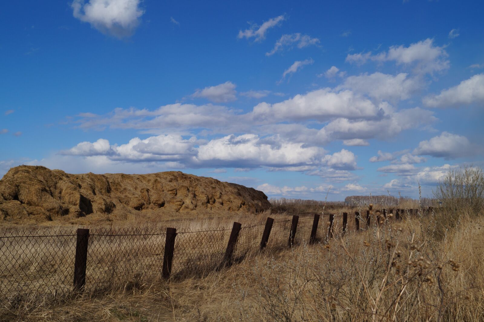 Sony DT 18-55mm F3.5-5.6 SAM II sample photo. Hay, sky, nature photography