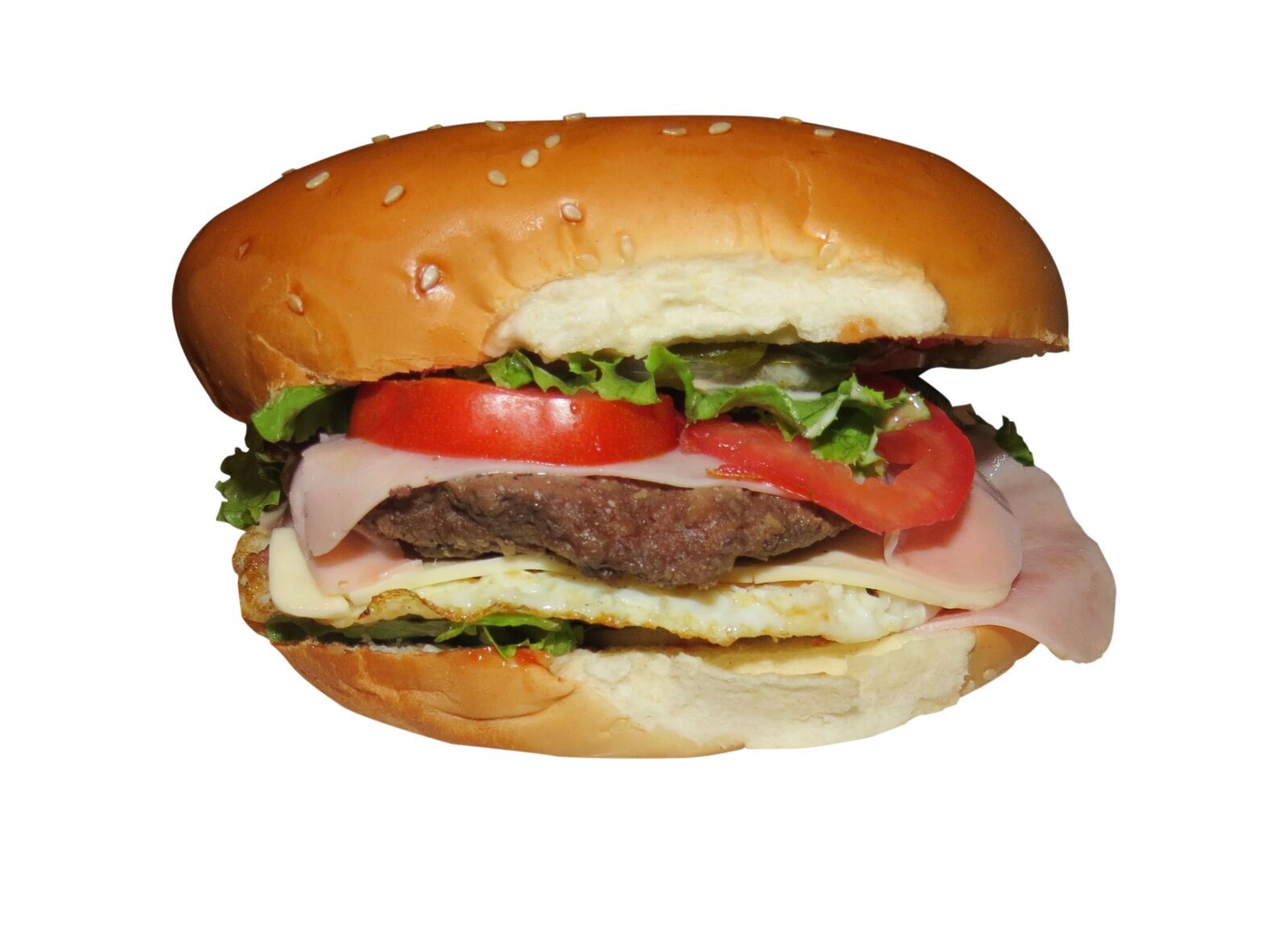 Canon PowerShot SX50 HS sample photo. Burger, hamburger, food photography