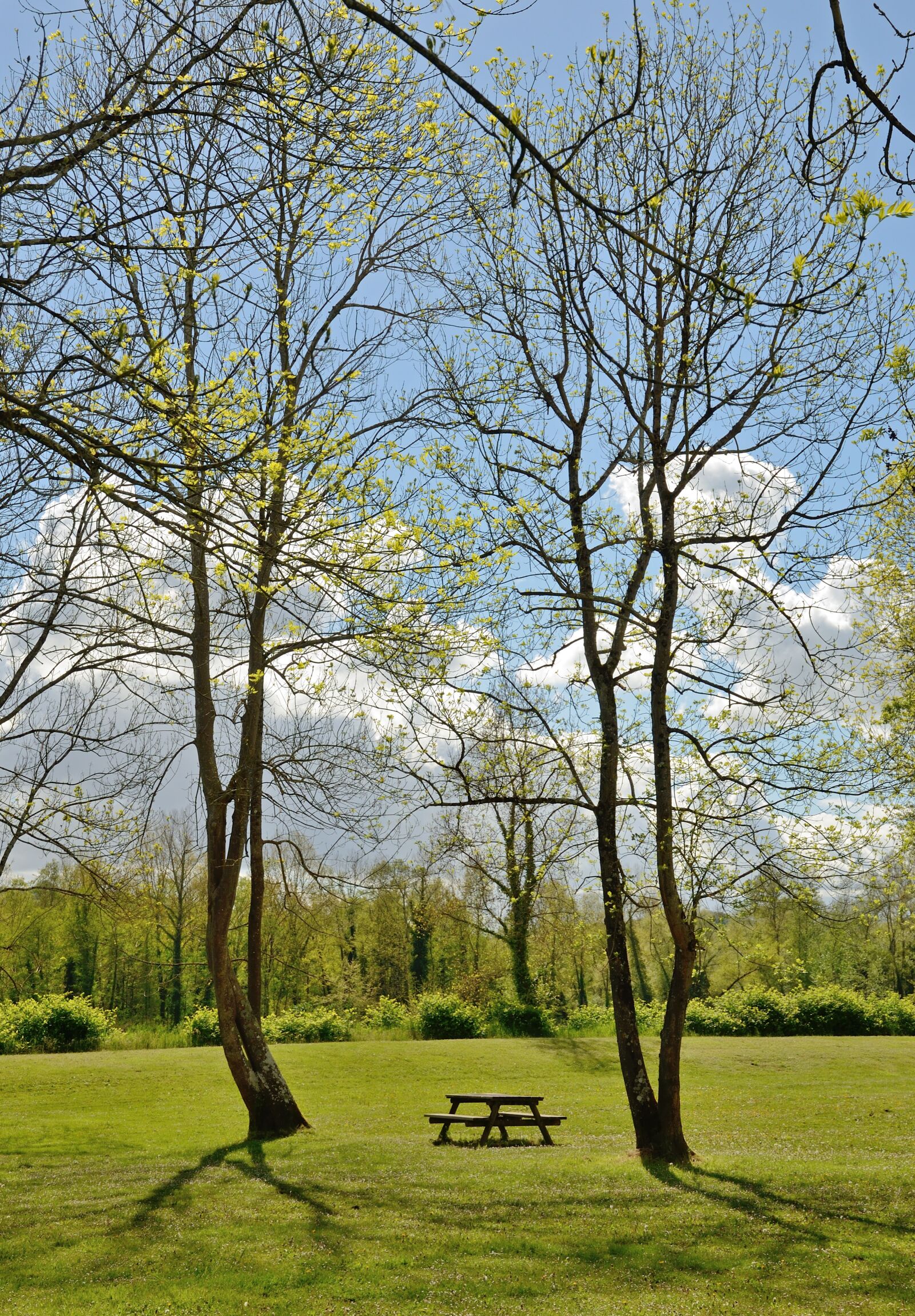 Nikon D7000 sample photo. Meadow, bench, table photography