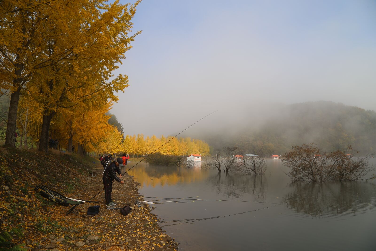 Canon EOS 6D + Canon EF 24-105mm F4L IS USM sample photo. Lake, ginkgo, autumn leaves photography