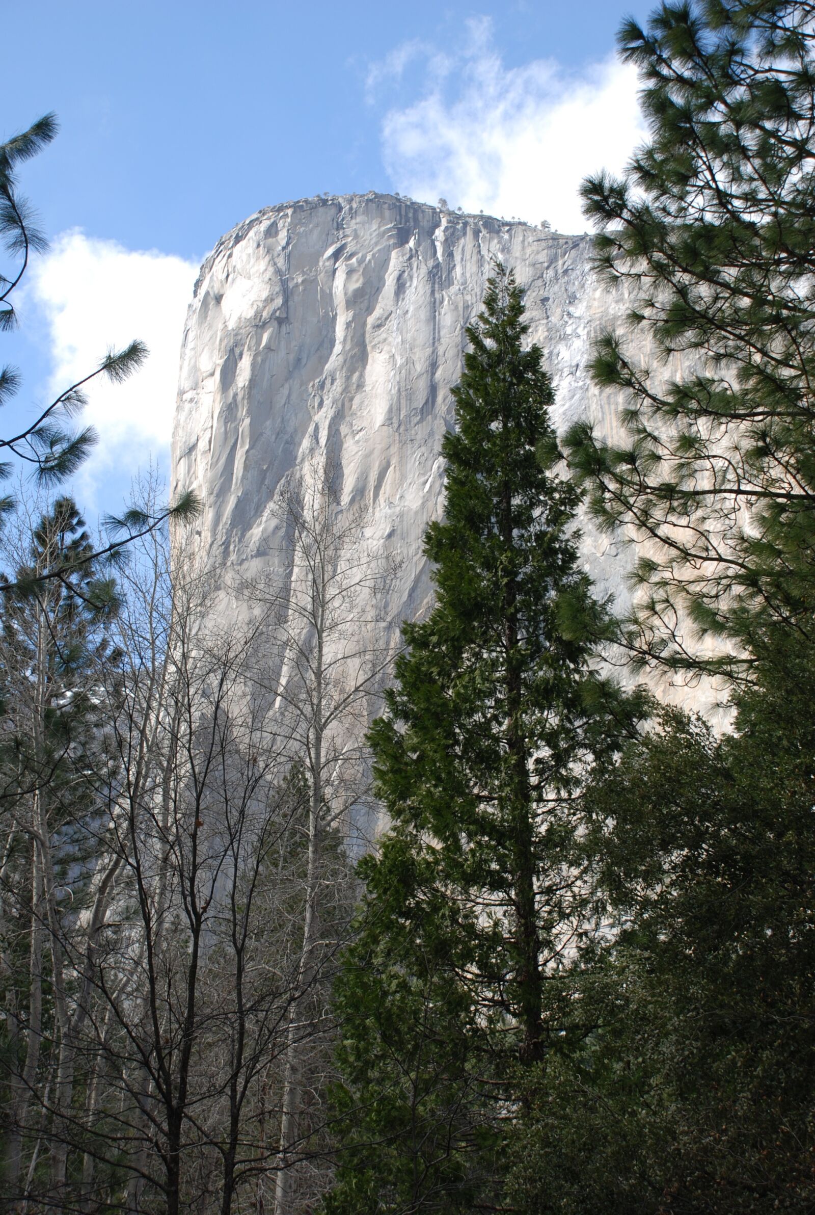 Nikon D80 sample photo. Yosemite, national parks, california photography