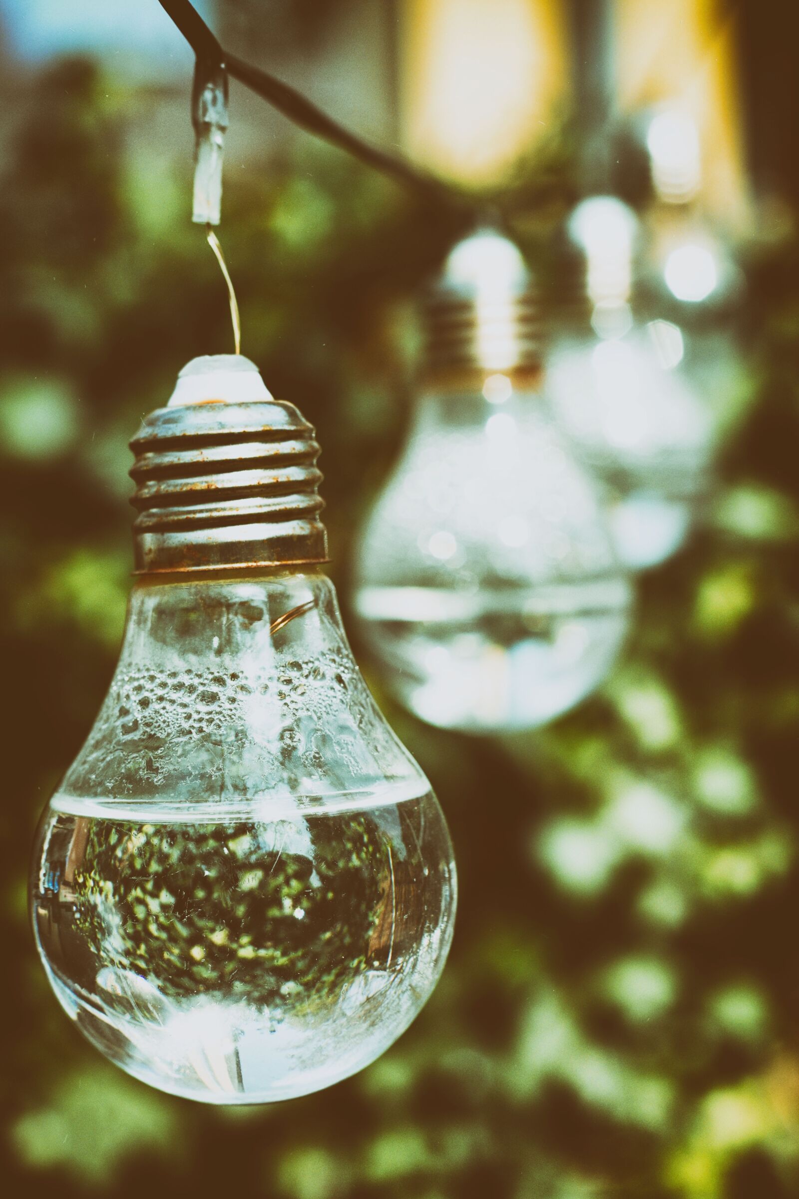 Nikon D7200 sample photo. Light bulb, water, energy photography