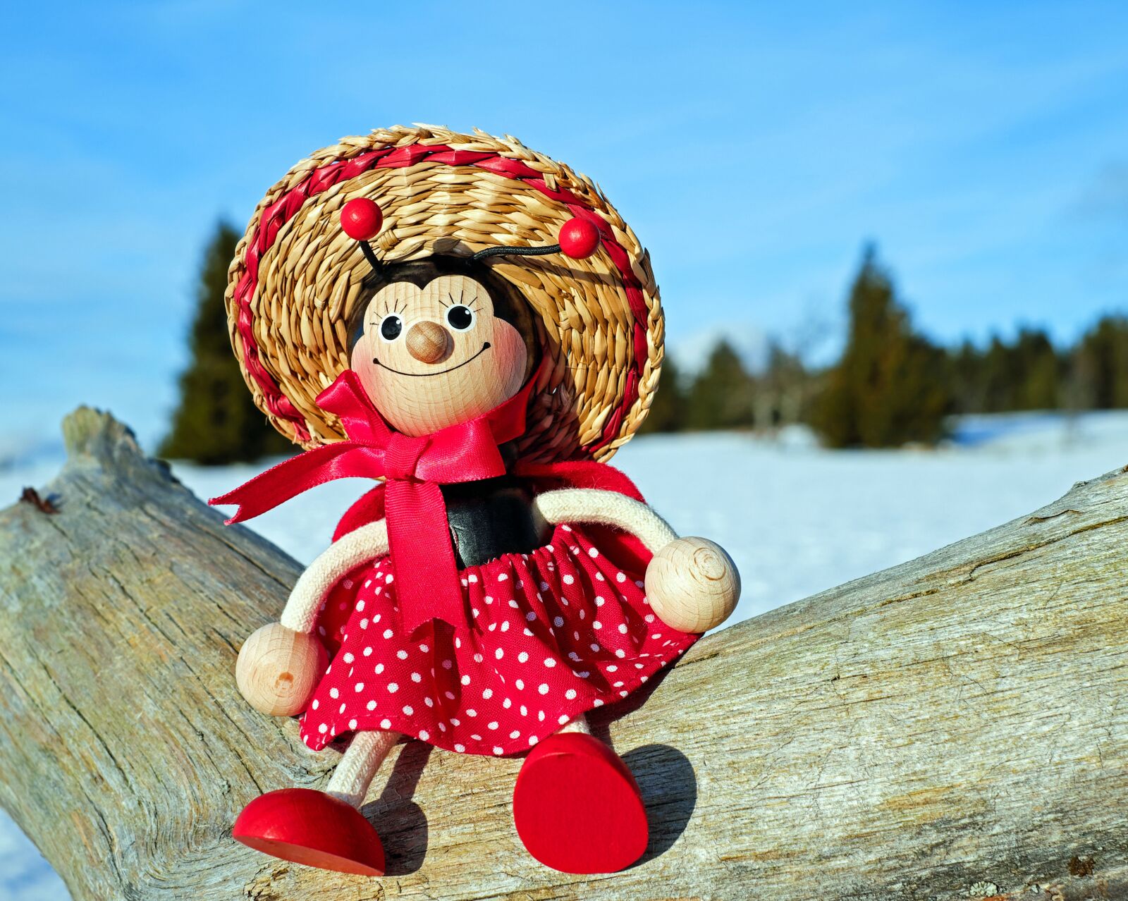 Fujifilm X-T10 + Fujifilm XF 35mm F1.4 R sample photo. Ladybug, figure, wood photography