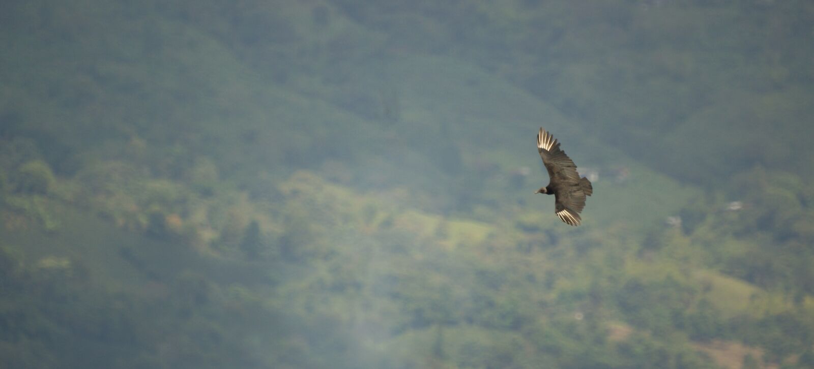Sony Alpha DSLR-A390 sample photo. Nature, landscapes, armenia photography