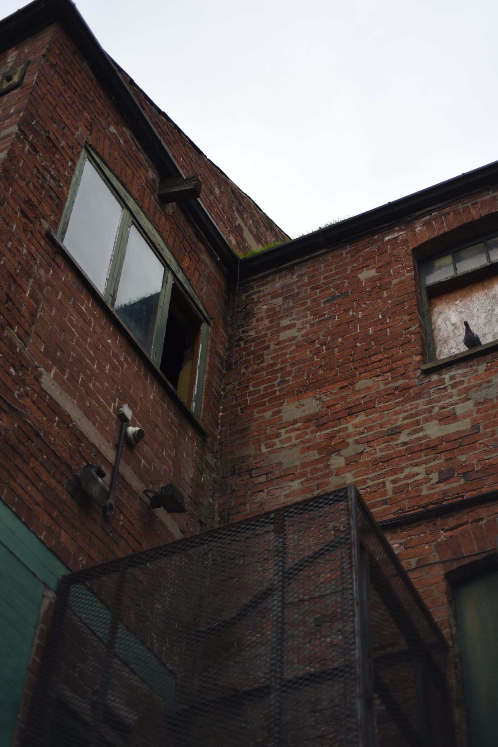 Nikon D750 sample photo