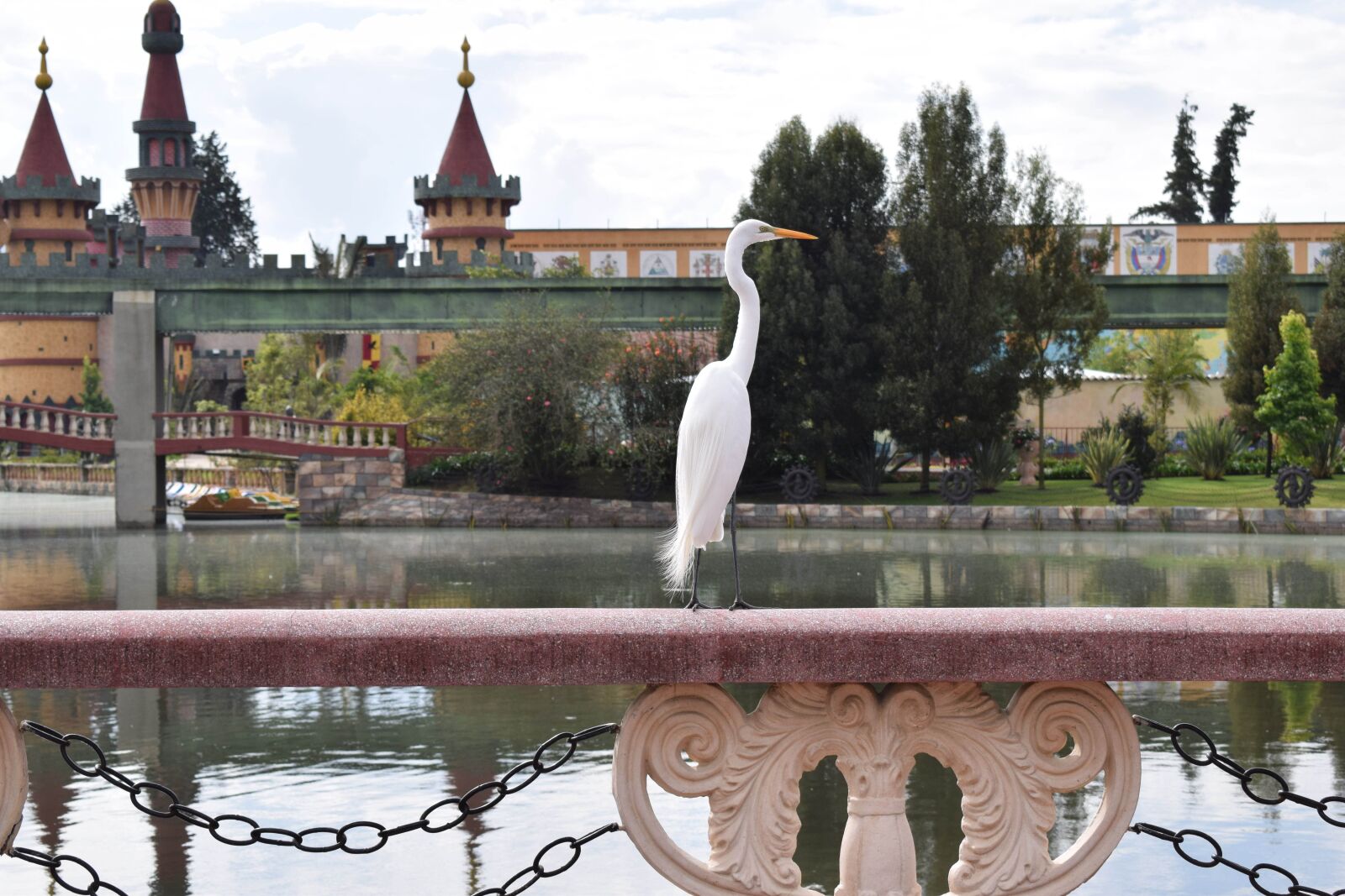 Nikon D5300 sample photo. Bird, river, park photography
