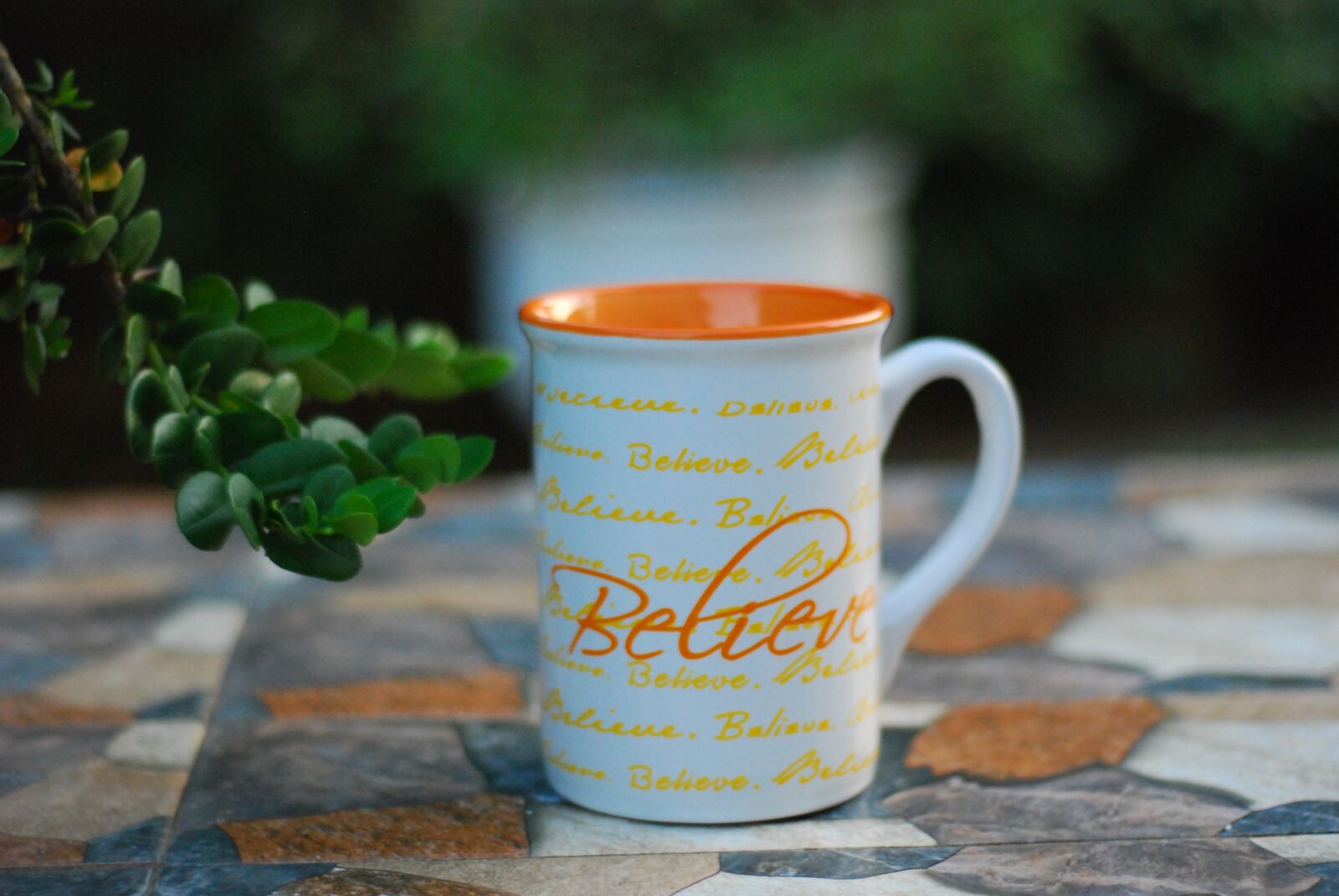 Nikon D80 sample photo. Believe, cup, garden photography