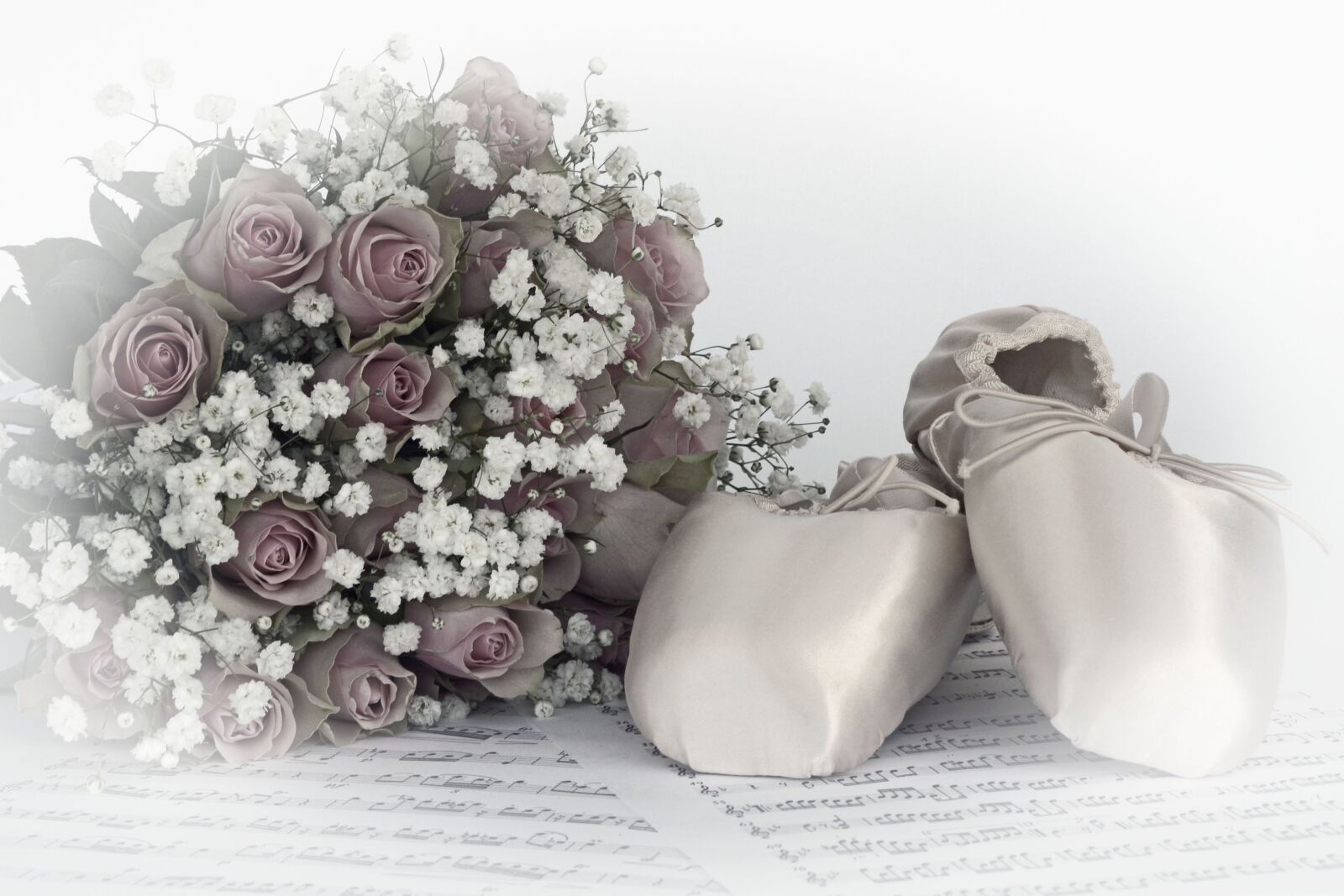 Nikon D7100 sample photo. Ballet shoes, dance, roses photography