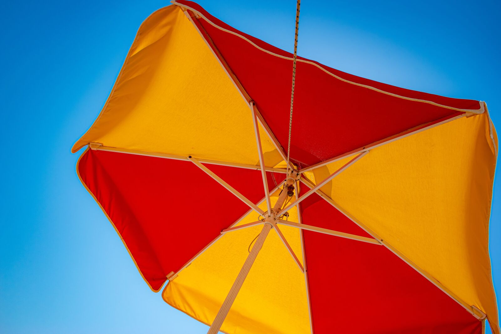 Nikon D5600 sample photo. Umbrella, sky, blue photography