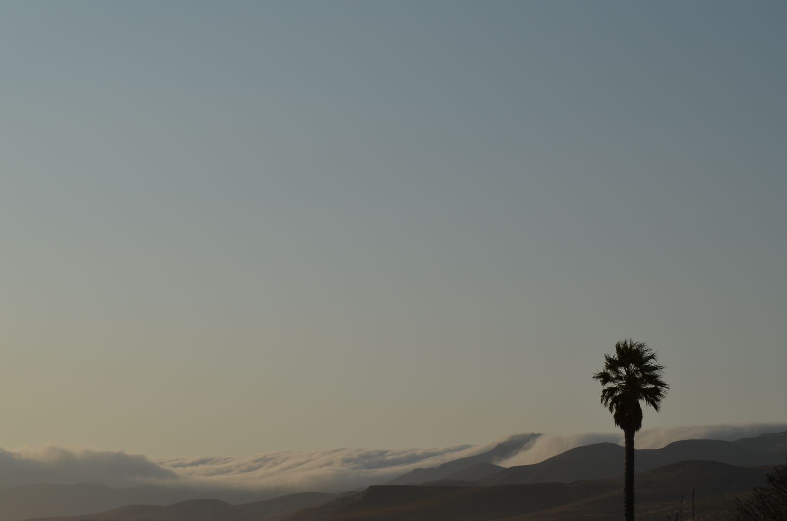 Nikon D5100 sample photo. Clouds wave, palm, sky photography