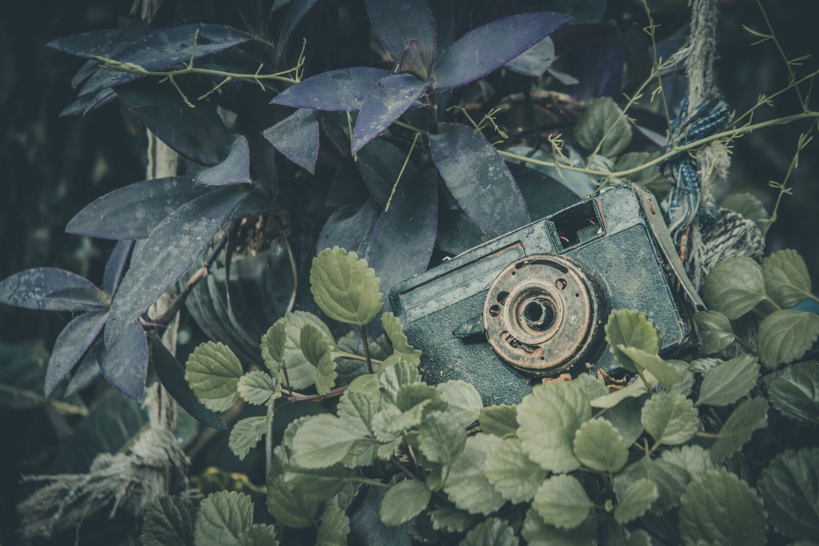 Nikon D3200 sample photo. History, age, retro photography