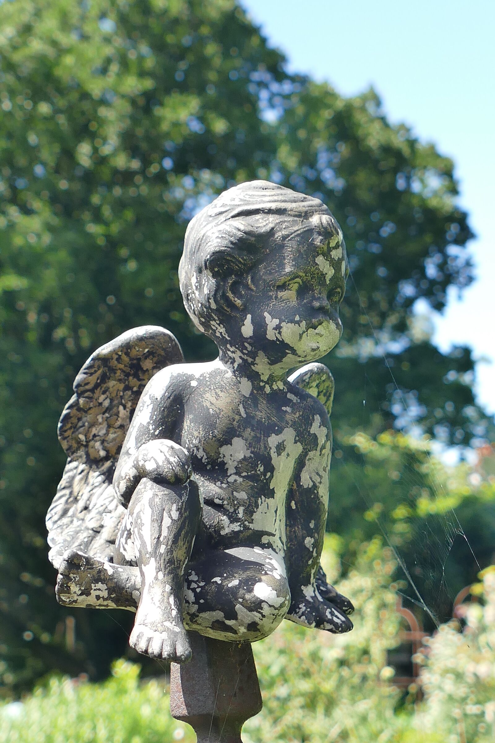 Panasonic Lumix DMC-FZ1000 sample photo. Angel figure, stone, park photography
