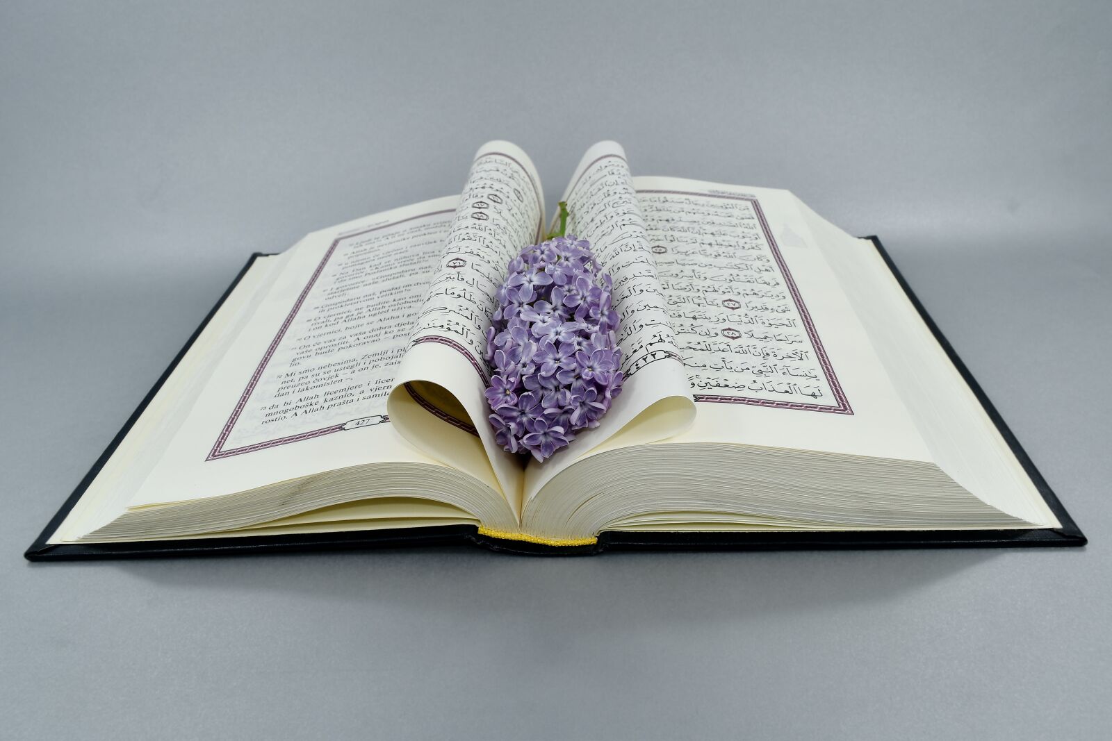 Nikon D5500 sample photo. Arabic, book, literature, knowledge photography