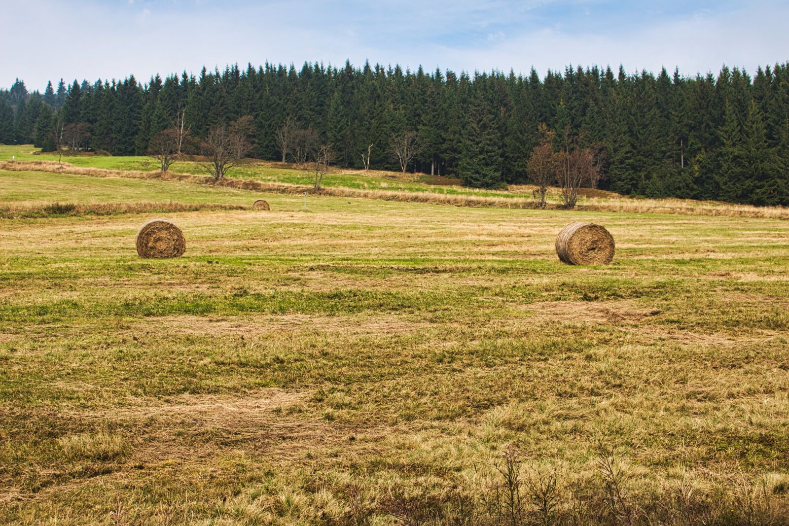 Canon EOS 70D sample photo. Straw bales, field, landscape photography