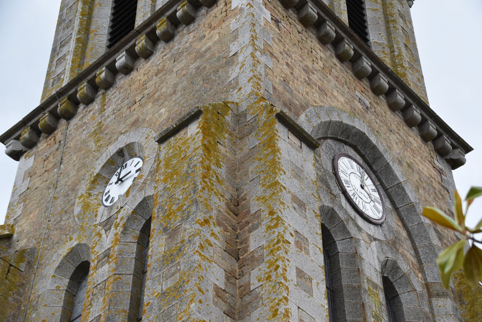 Nikon D5600 sample photo. Church, bell tower church photography