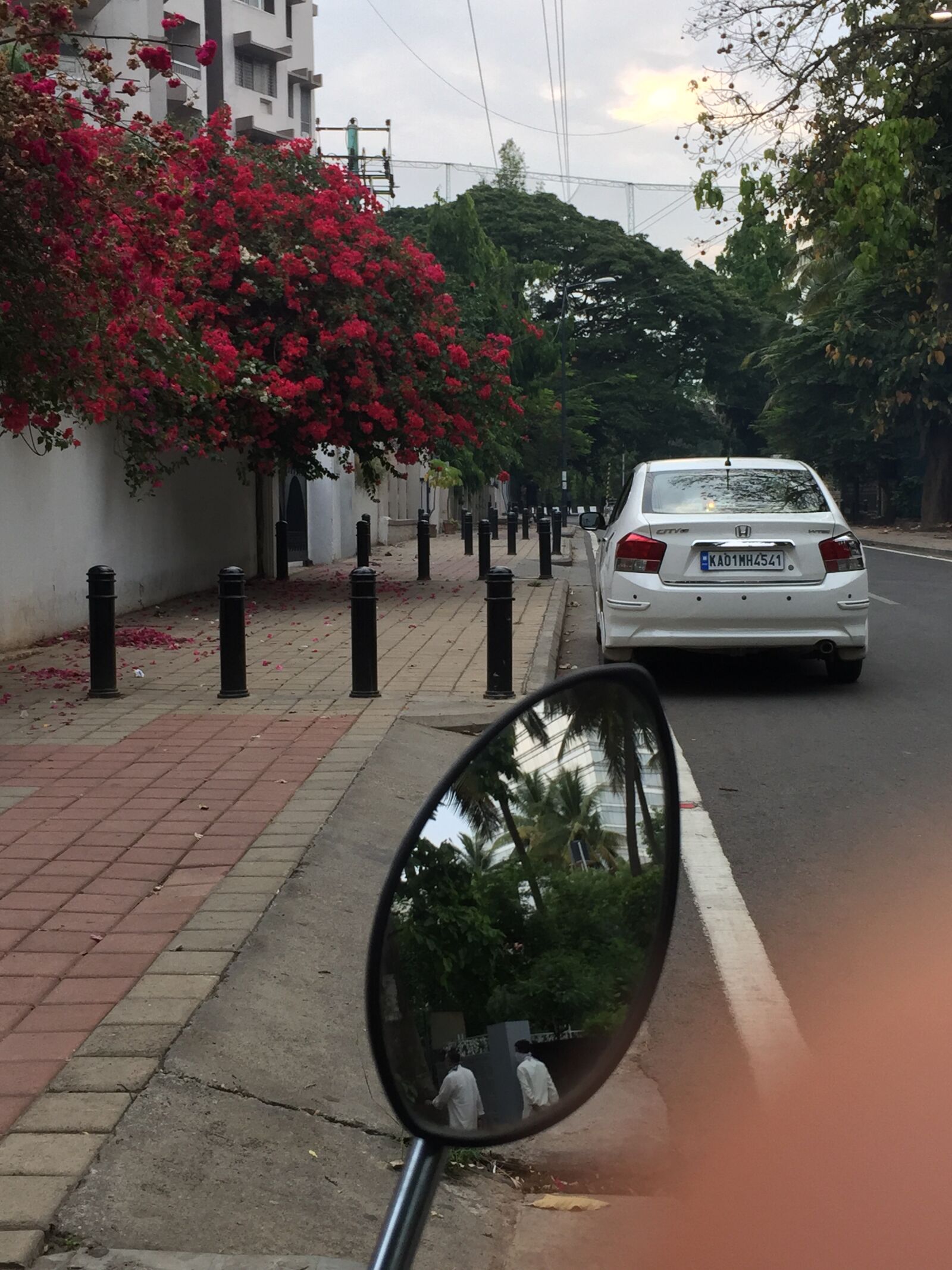 Apple iPhone 6 sample photo. Lockdown, flower, car photography
