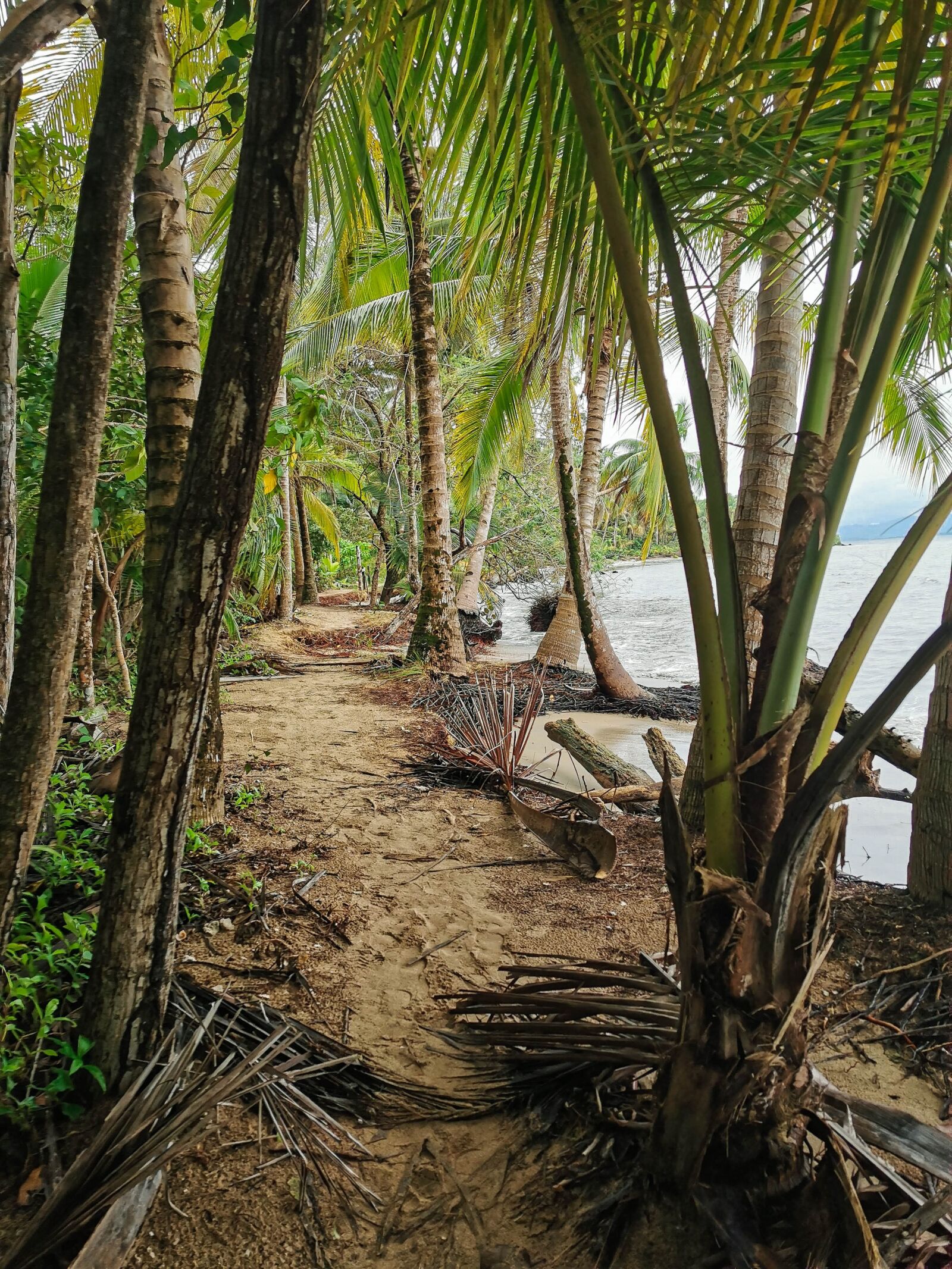 HUAWEI P30 Pro sample photo. Panama, ocean, tropical photography