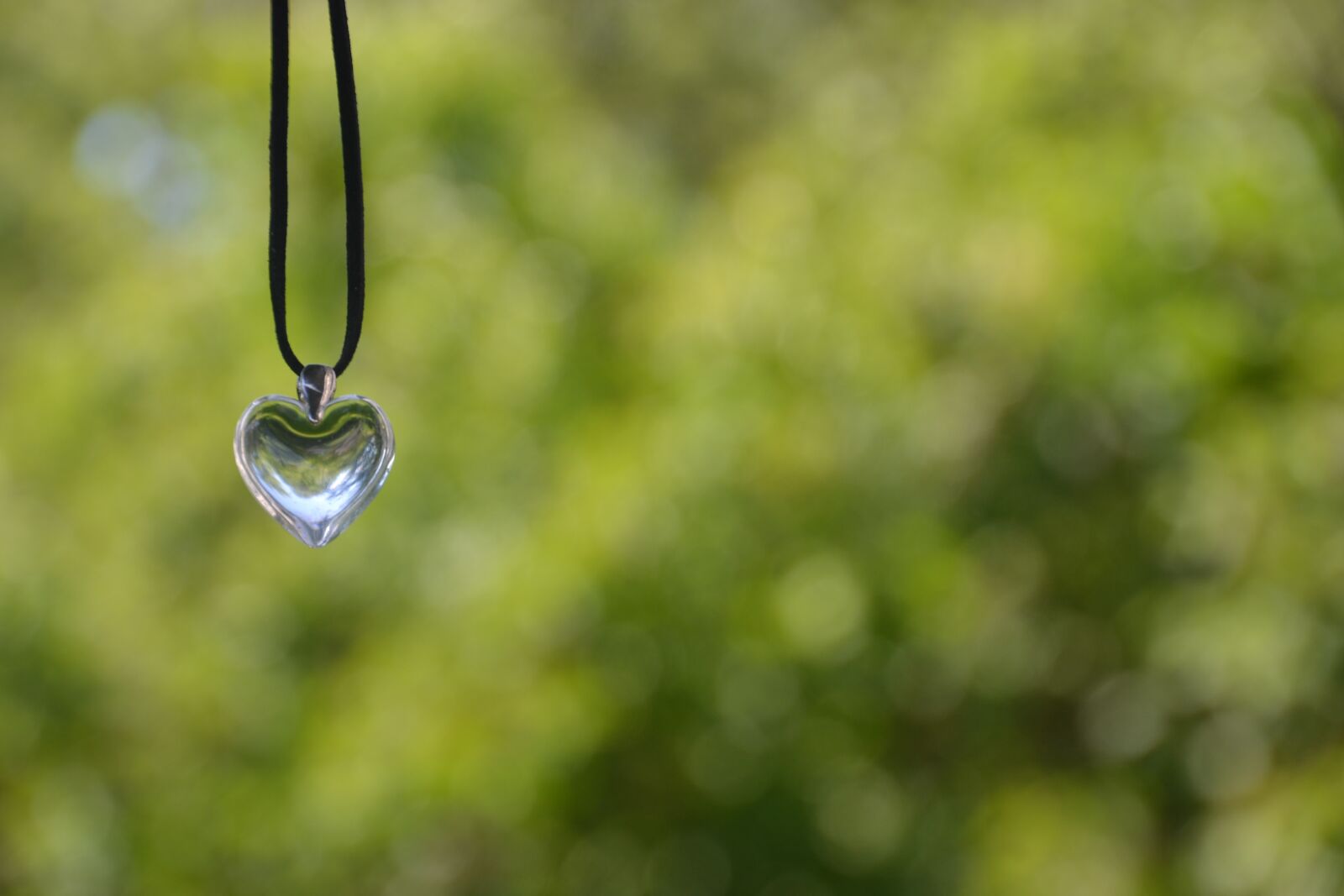 Nikon D3100 sample photo. Heart, glass, love photography