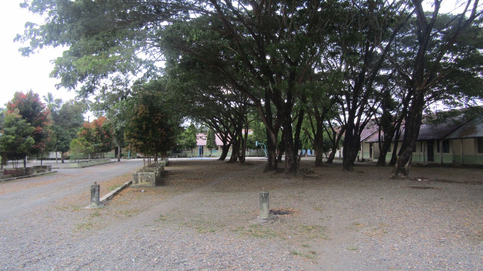 Canon PowerShot SX410 IS sample photo. Kebun, pohon besar, kayu photography