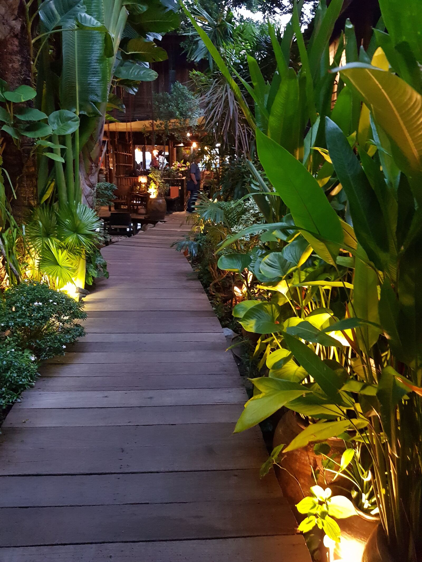 Samsung Galaxy S8+ sample photo. Landscape, gil, garden photography
