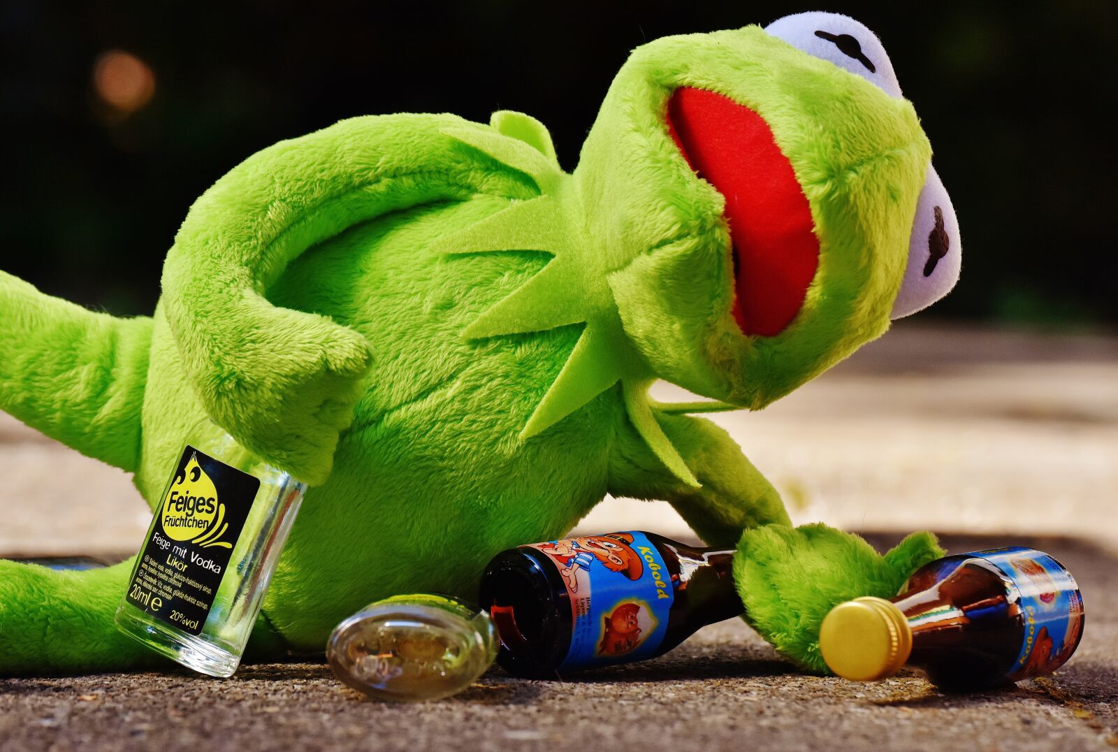 Nikon D7200 sample photo. Kermit, frog, drink photography