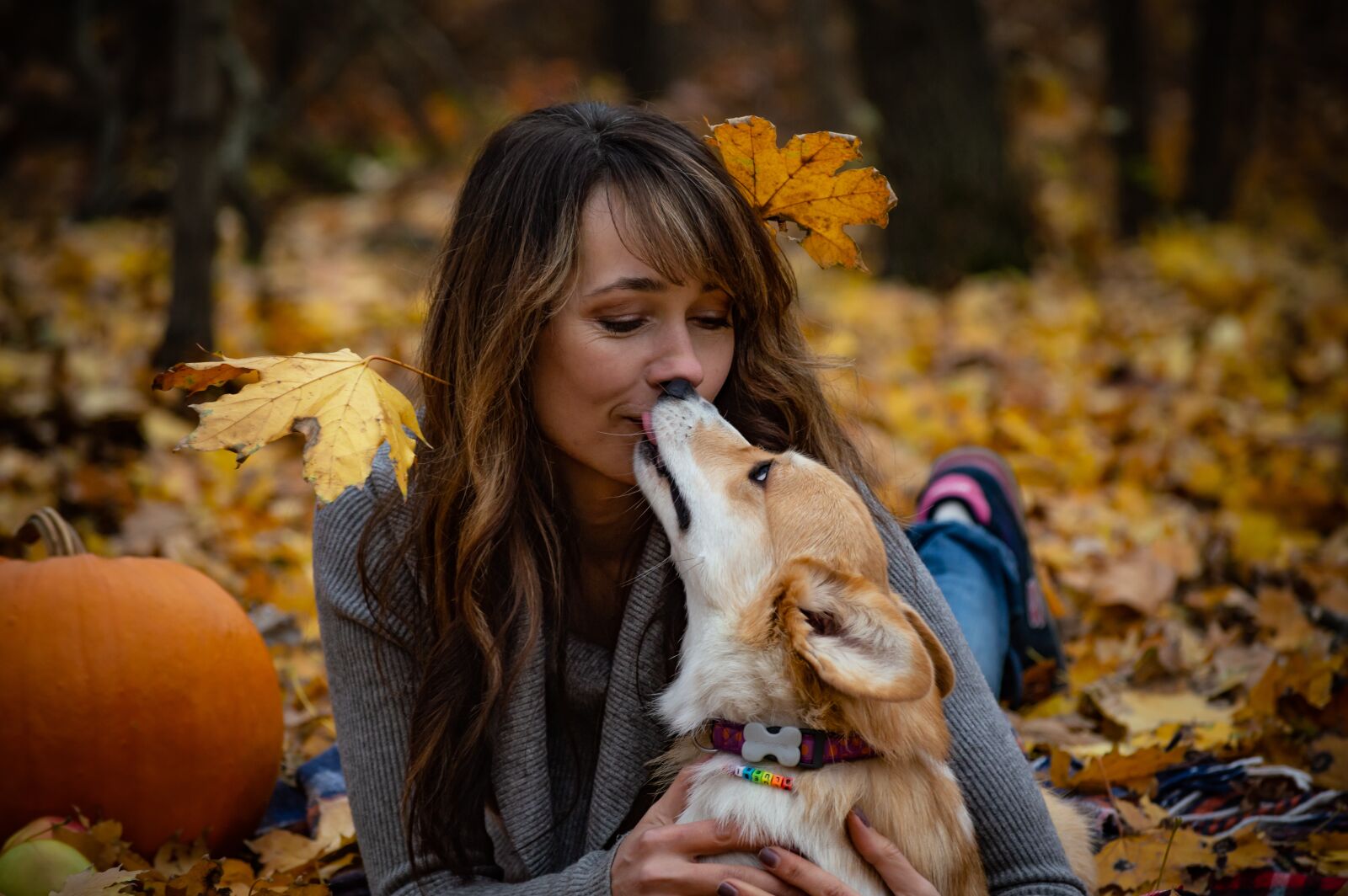 Nikon D3200 sample photo. Welsh corgi pembroke, corgi photography