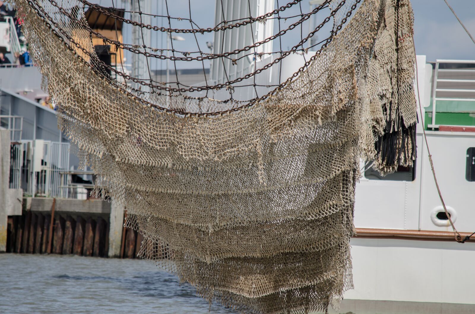 Nikon D5100 sample photo. Fish, fishing, water photography