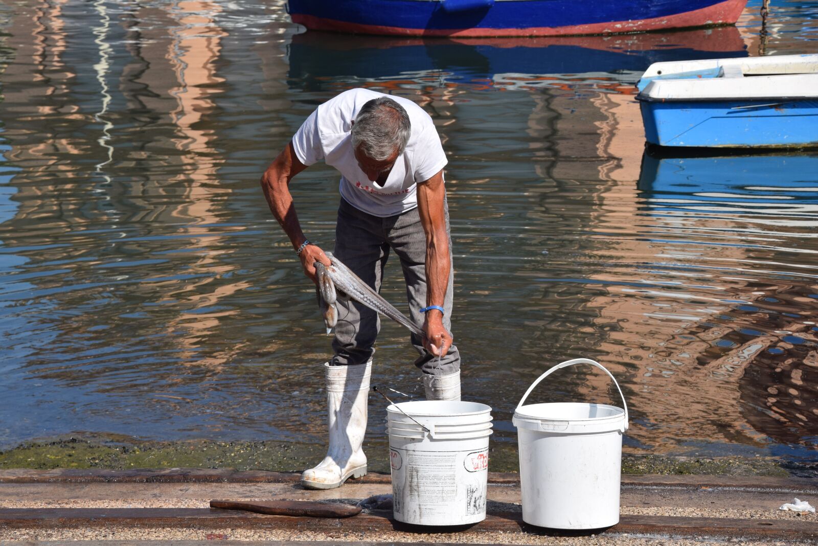 Nikon D5300 sample photo. Italy, barry, catch photography