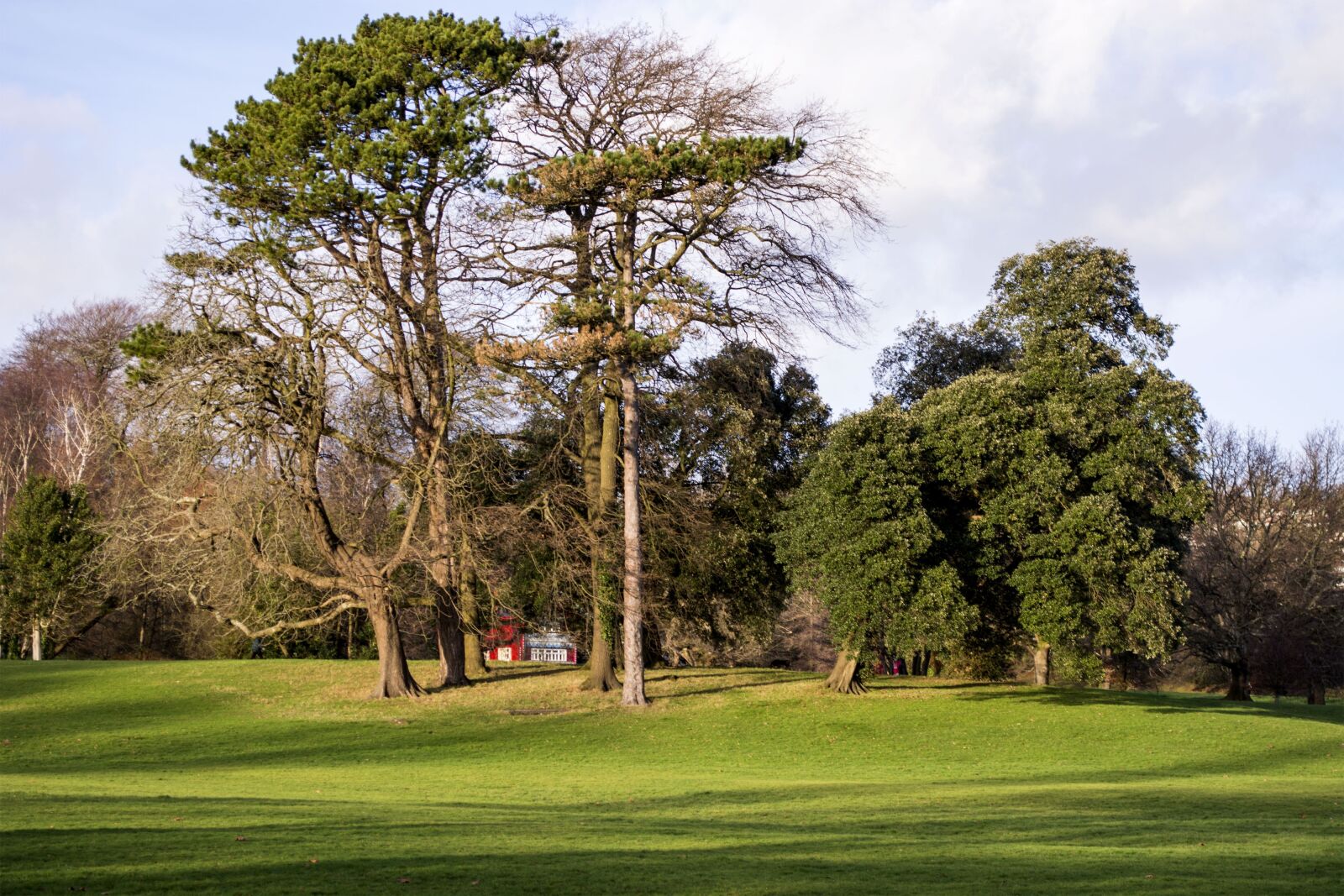 Nikon D5200 sample photo. Park, evening, landscape photography