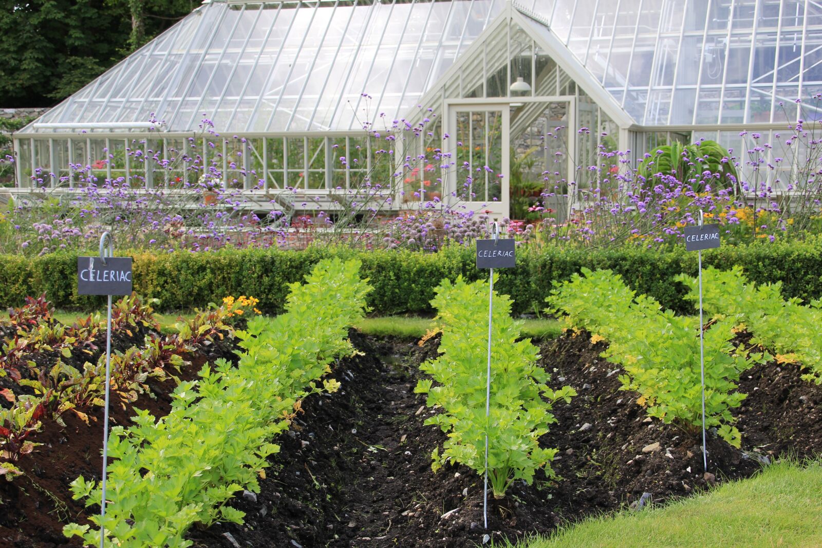 Canon TS-E 90mm F2.8 Tilt-Shift sample photo. Greenhouse, gardening, plant photography