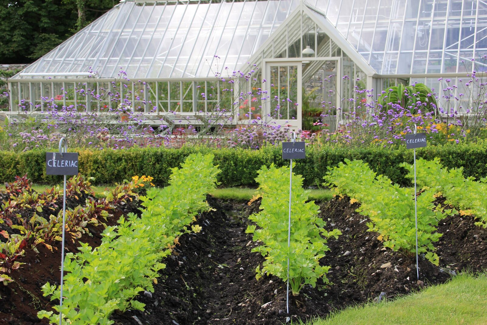 Canon EOS 60D + Canon TS-E 90mm F2.8 Tilt-Shift sample photo. Greenhouse, gardening, plant photography