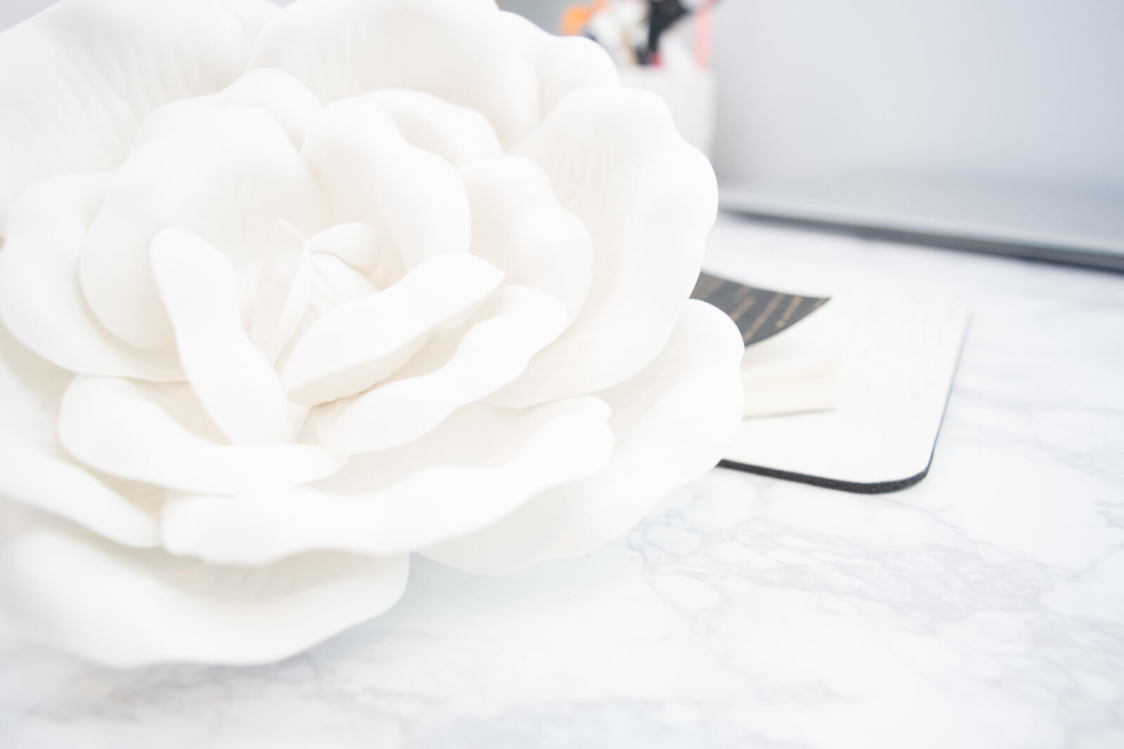 Nikon D3300 sample photo. Bloom, blooming, blossom, blur photography