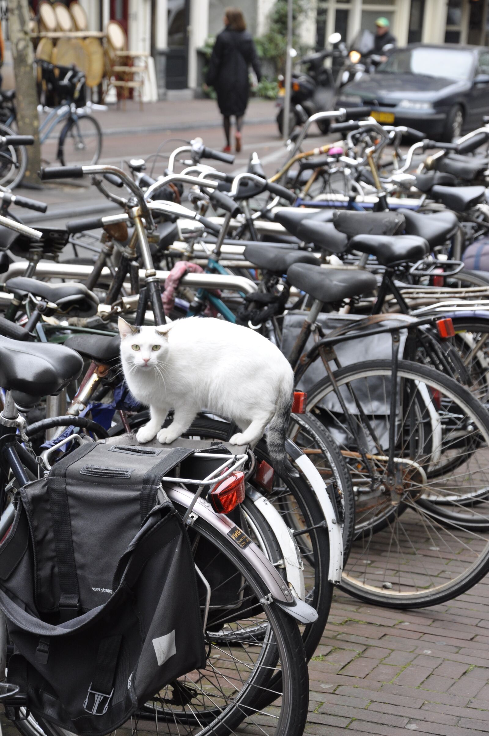 Nikon D90 sample photo. Amsterdam, holland, netherlands photography