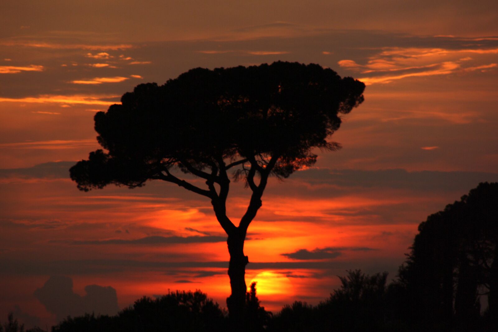 Canon EOS 1000D (EOS Digital Rebel XS / EOS Kiss F) sample photo. Sunset, sun, sky photography