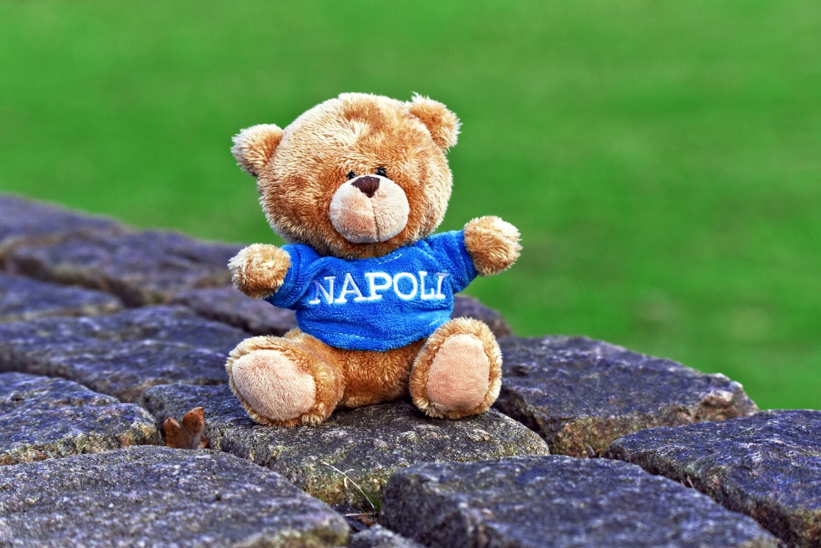 Nikon D750 sample photo. Teddy bear, stuffed animal photography