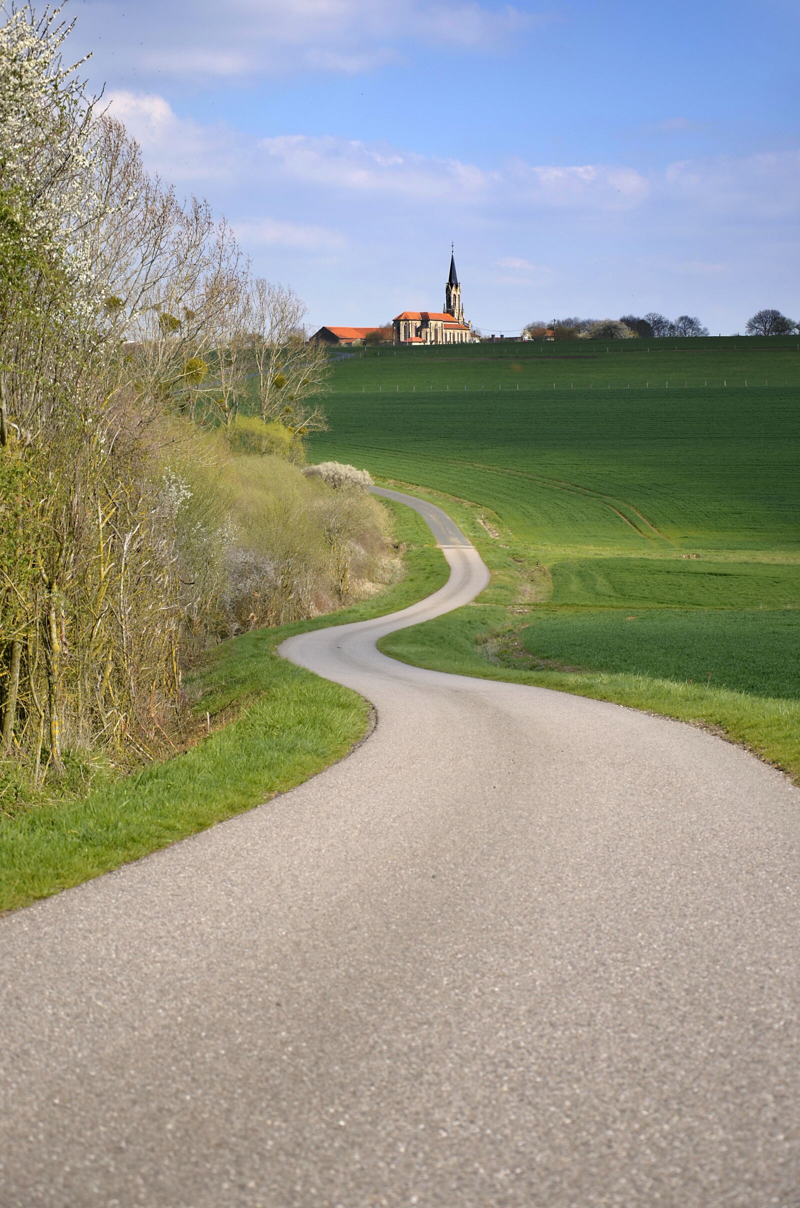 Nikon D5100 sample photo. Road, village, nature photography