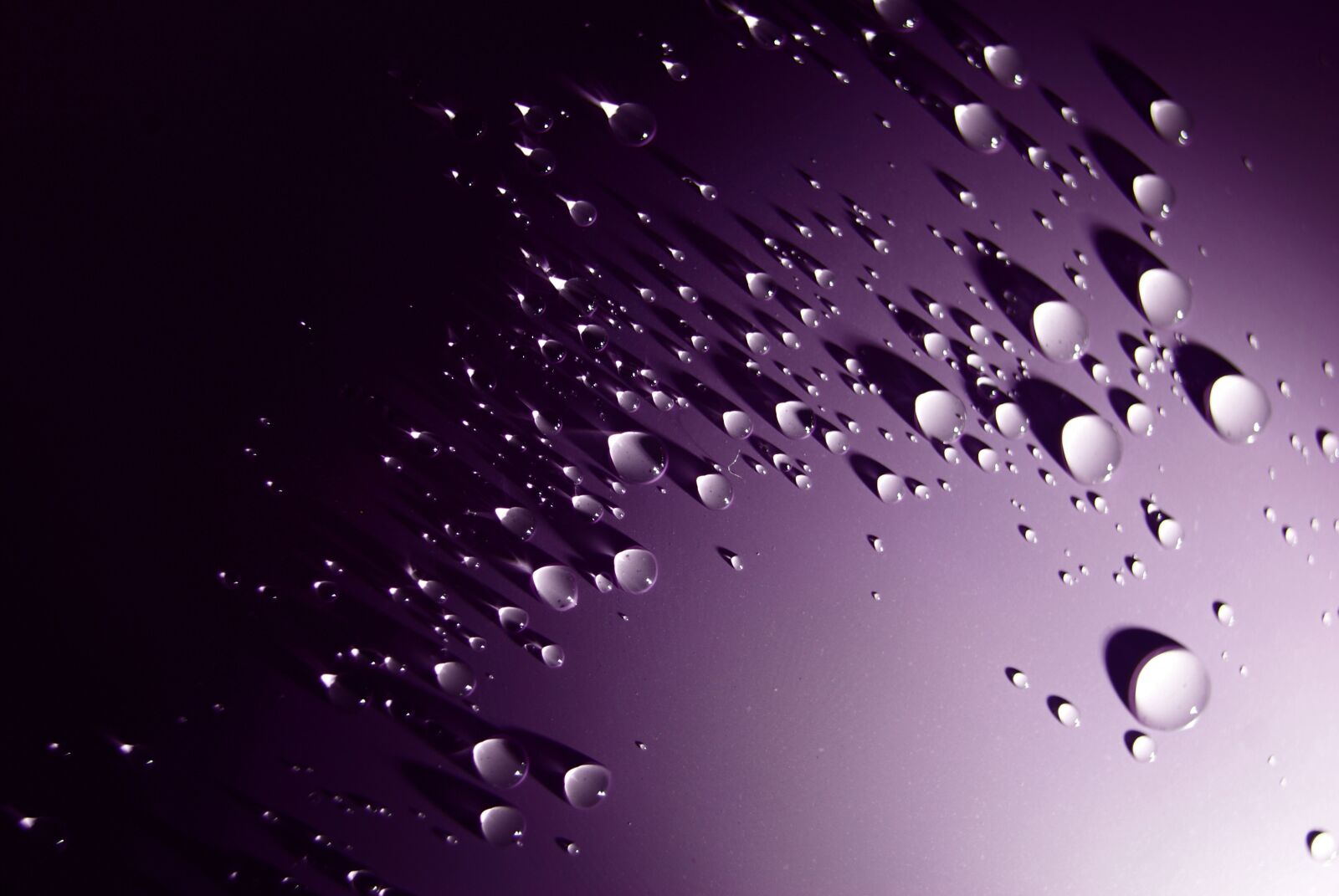 Sony Alpha DSLR-A330 sample photo. Water, drop, purple photography