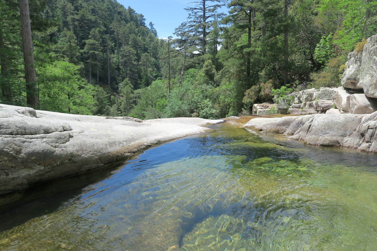 Canon PowerShot G7 X sample photo. Landscape, forest, river photography