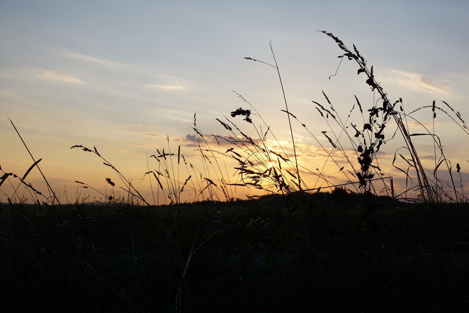 Sony ILCA-77M2 + Sony DT 16-50mm F2.8 SSM sample photo. Grain, field, bread photography