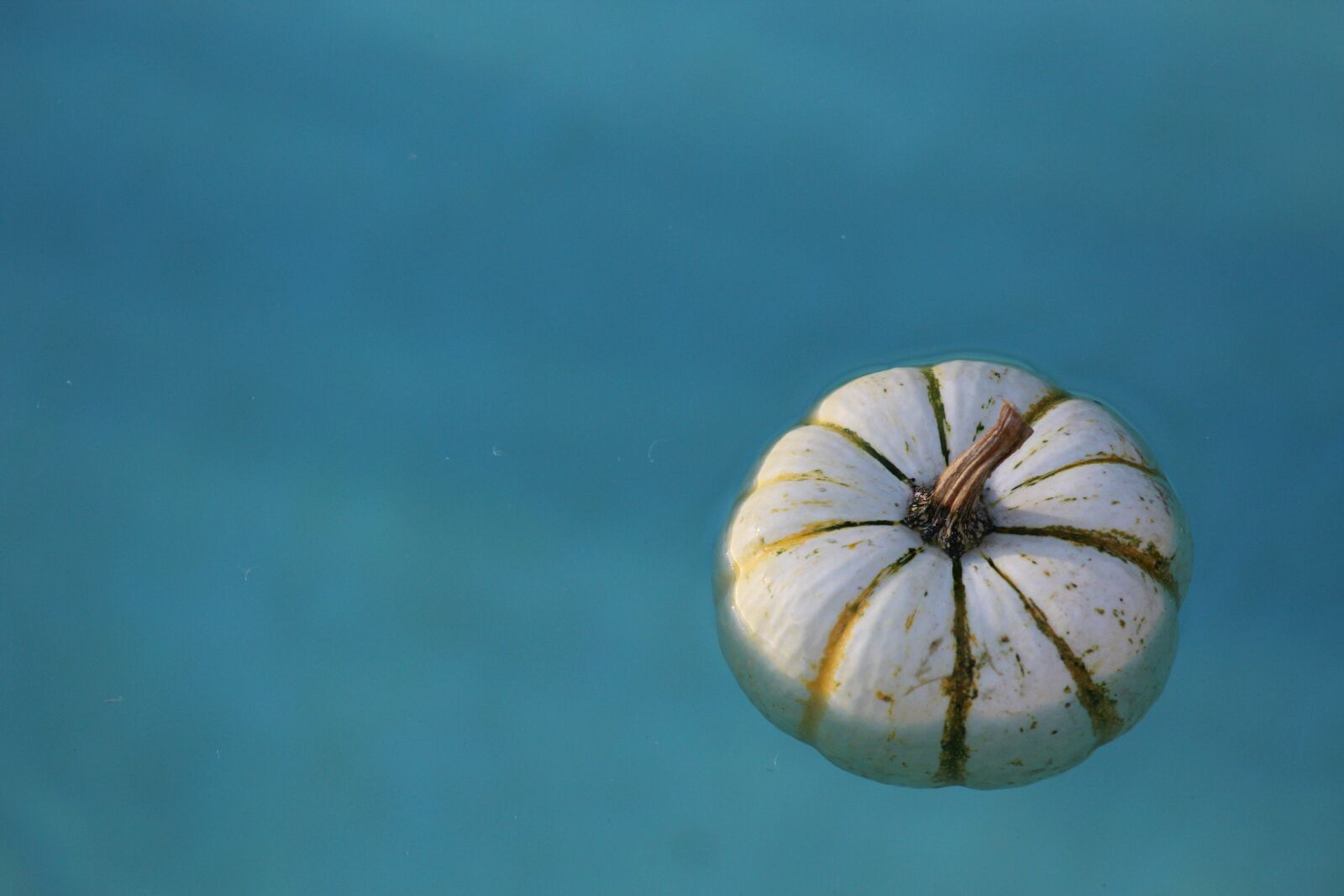 Canon EF 75-300mm f/4-5.6 sample photo. Water, pumpkin, wet photography