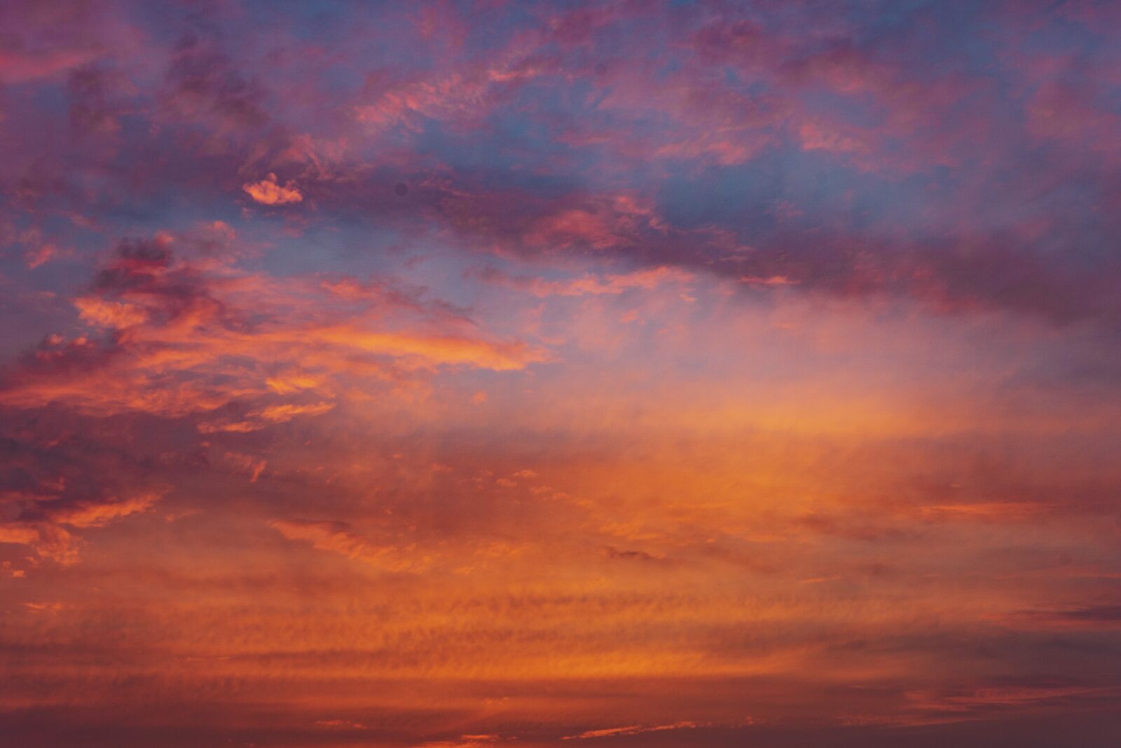 30mm F1.4 DC DN | Contemporary 016 sample photo. Sunset, sky, sunset sky photography