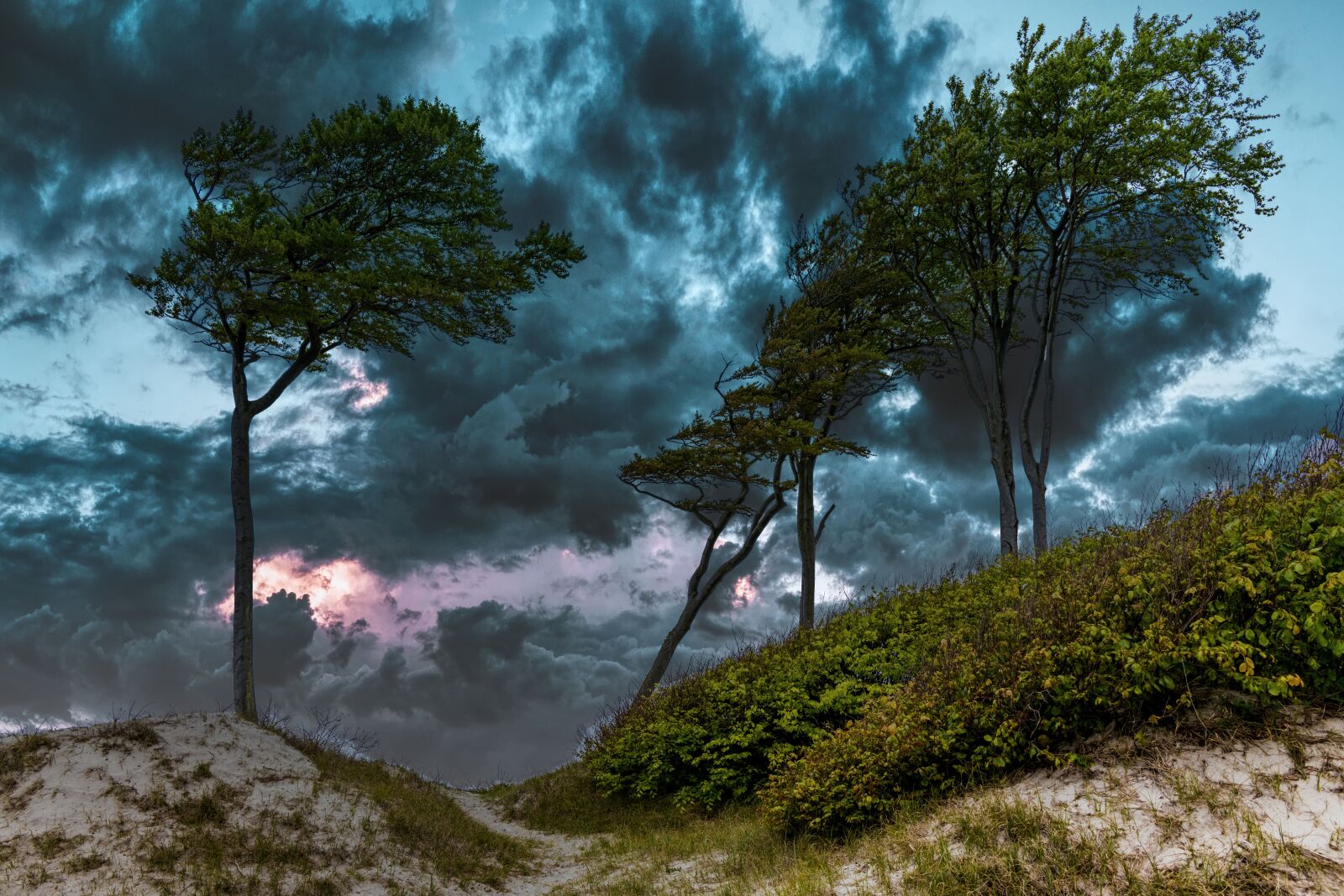 Tamron 28-300mm F3.5-6.3 Di VC PZD sample photo. Trees, sky, dunes photography