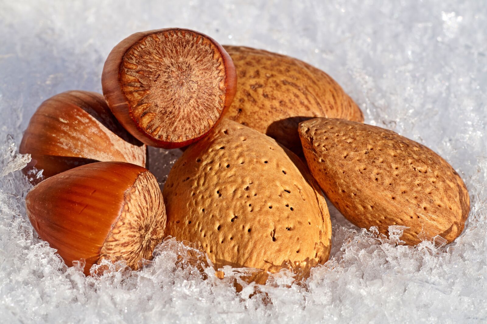 Sony SLT-A58 sample photo. Nuts, snow, hazelnuts photography